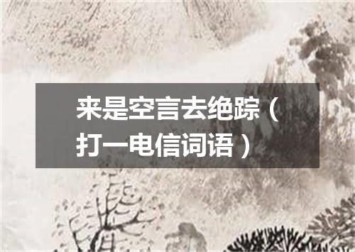 来是空言去绝踪（打一电信词语）