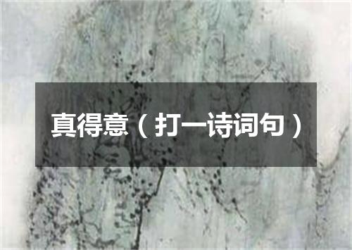 真得意（打一诗词句）