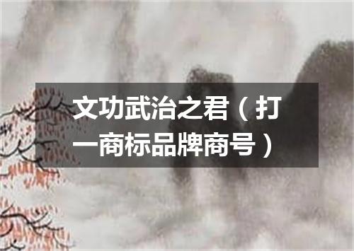 文功武治之君（打一商标品牌商号）