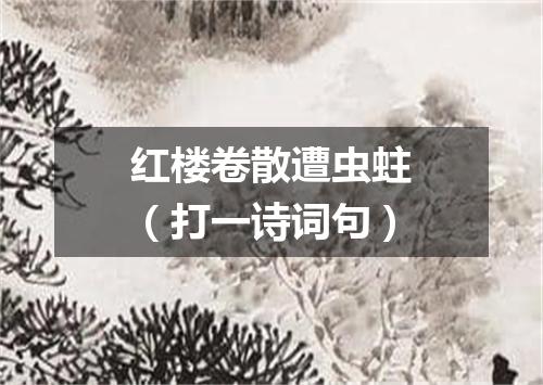 红楼卷散遭虫蛀（打一诗词句）
