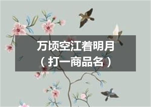 万顷空江着明月（打一商品名）