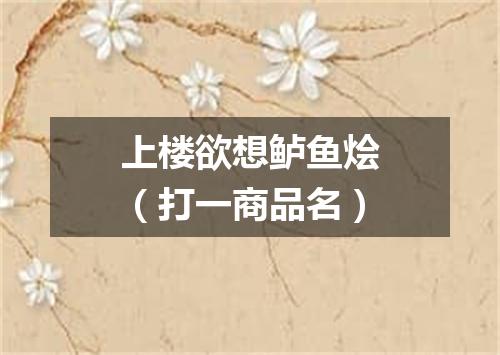 上楼欲想鲈鱼烩（打一商品名）