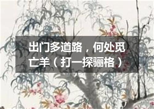 出门多道路，何处觅亡羊（打一探骊格）