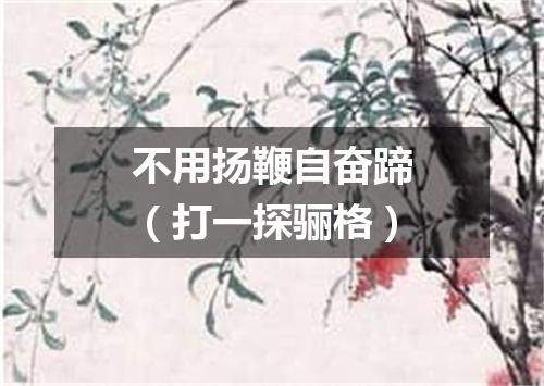 不用扬鞭自奋蹄（打一探骊格）
