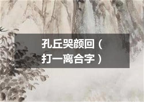 孔丘哭颜回（打一离合字）