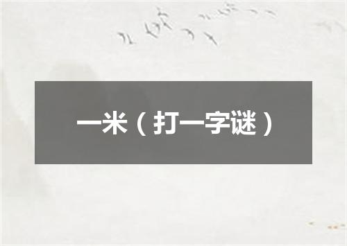 一米（打一字谜）