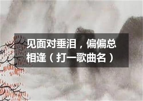 见面对垂泪，偏偏总相逢（打一歌曲名）