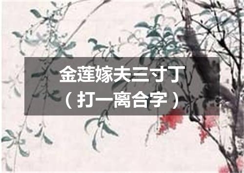 金莲嫁夫三寸丁（打一离合字）