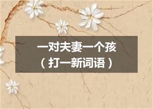 一对夫妻一个孩（打一新词语）