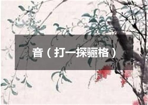 音（打一探骊格）