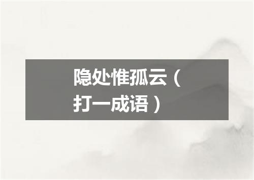 隐处惟孤云（打一成语）