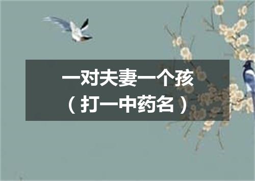 一对夫妻一个孩（打一中药名）