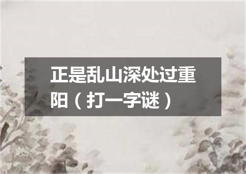 正是乱山深处过重阳（打一字谜）