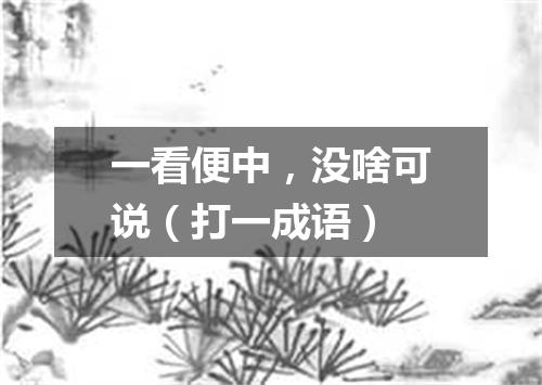 一看便中，没啥可说（打一成语）