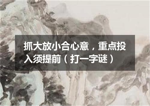 抓大放小合心意，重点投入须提前（打一字谜）