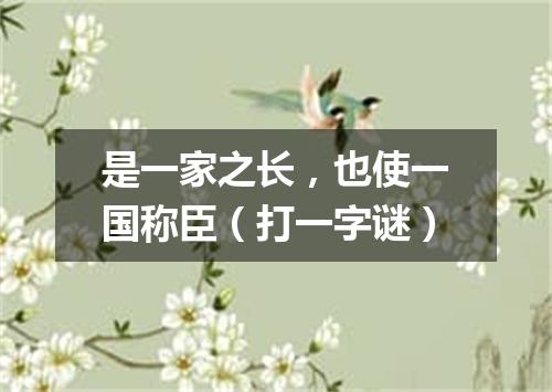 是一家之长，也使一国称臣（打一字谜）