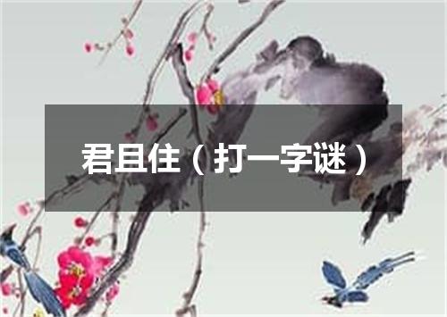 君且住（打一字谜）