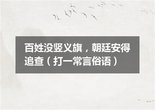 百姓没竖义旗，朝廷安得追查（打一常言俗语）