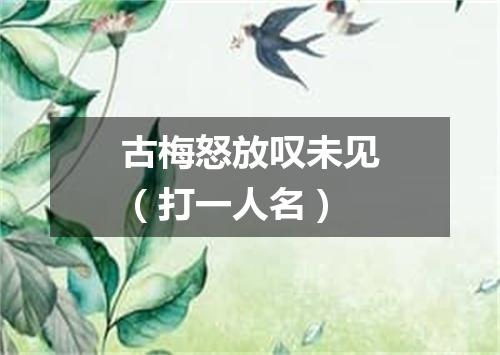 古梅怒放叹未见（打一人名）
