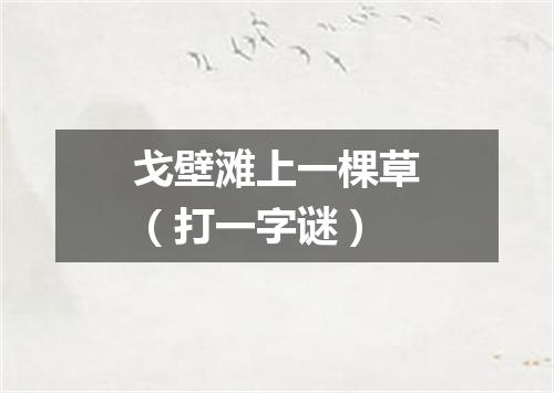 戈壁滩上一棵草（打一字谜）