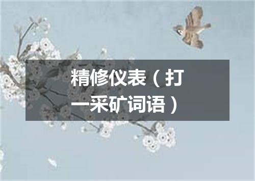精修仪表（打一采矿词语）