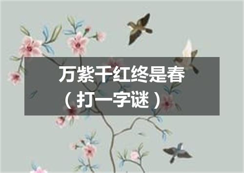 万紫千红终是春（打一字谜）