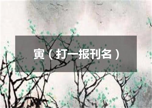 寅（打一报刊名）