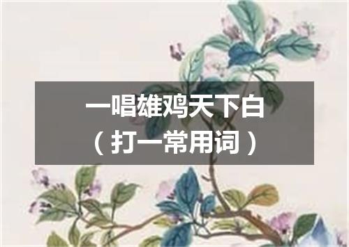 一唱雄鸡天下白（打一常用词）