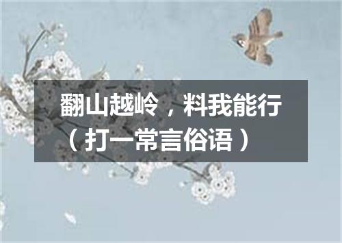 翻山越岭，料我能行（打一常言俗语）