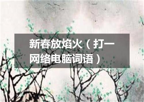 新春放焰火（打一网络电脑词语）