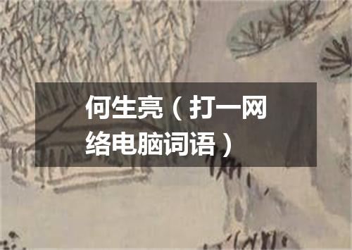 何生亮（打一网络电脑词语）