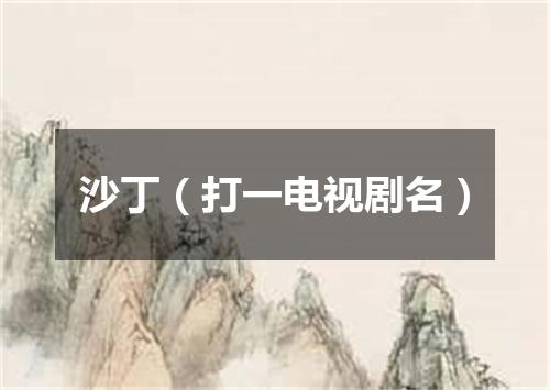 沙丁（打一电视剧名）