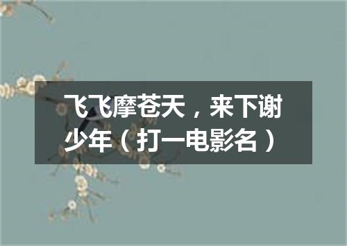 飞飞摩苍天，来下谢少年（打一电影名）