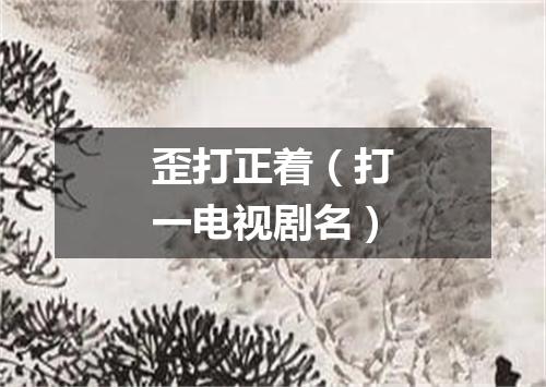 歪打正着（打一电视剧名）