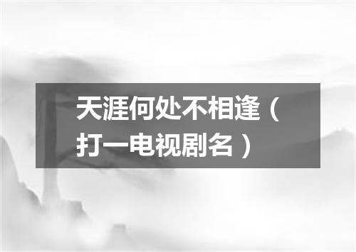 天涯何处不相逢（打一电视剧名）