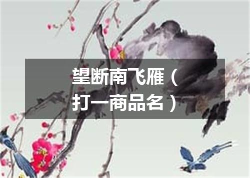 望断南飞雁（打一商品名）