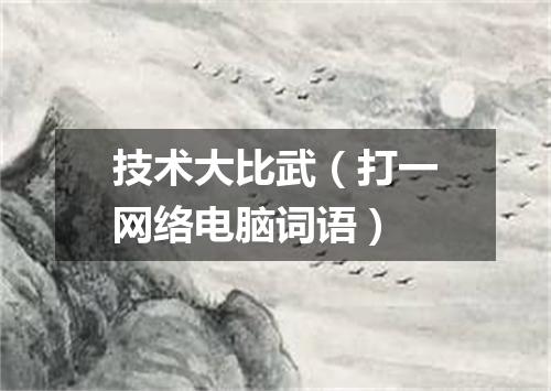 技术大比武（打一网络电脑词语）