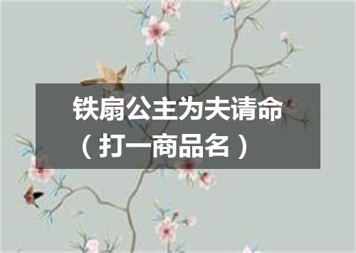 铁扇公主为夫请命（打一商品名）