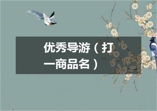 优秀导游（打一商品名）