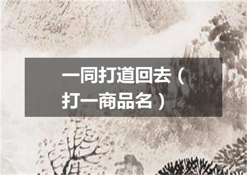 一同打道回去（打一商品名）