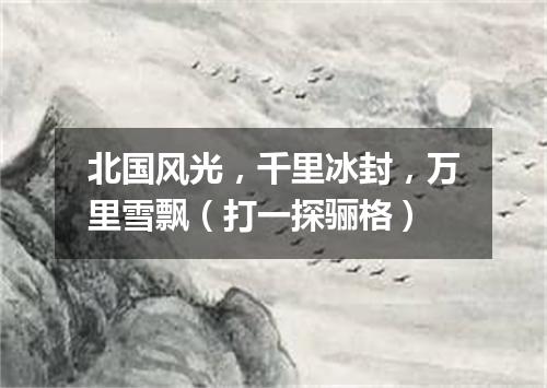 北国风光，千里冰封，万里雪飘（打一探骊格）