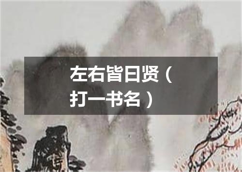 左右皆曰贤（打一书名）