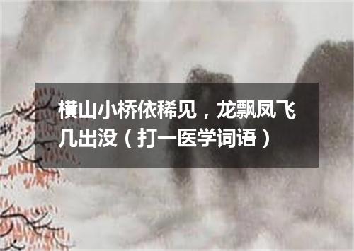 横山小桥依稀见，龙飘凤飞几出没（打一医学词语）