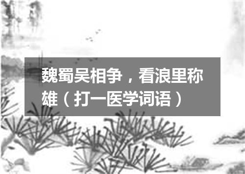 魏蜀吴相争，看浪里称雄（打一医学词语）
