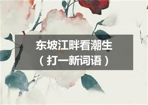 东坡江畔看潮生（打一新词语）