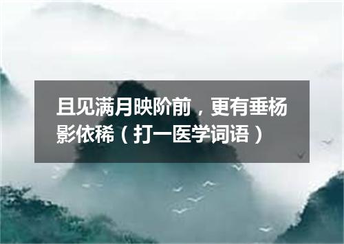 且见满月映阶前，更有垂杨影依稀（打一医学词语）