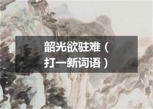 韶光欲驻难（打一新词语）