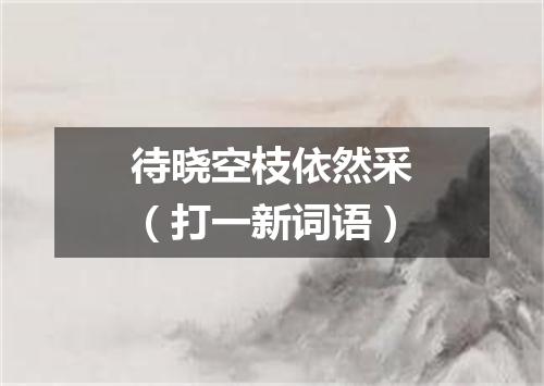 待晓空枝依然采（打一新词语）