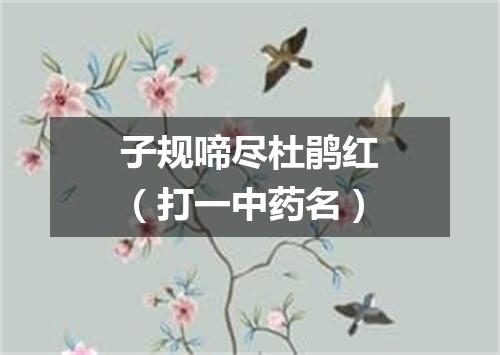 子规啼尽杜鹃红（打一中药名）