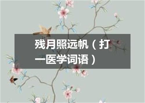 残月照远帆（打一医学词语）
